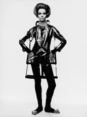 Veruschka by Irving Penn (1965)