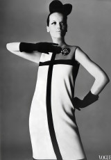 Veruschka by Irving Penn (1965)