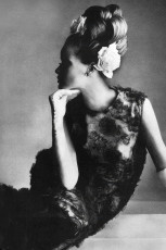 Veruschka by Irving Penn (1965)