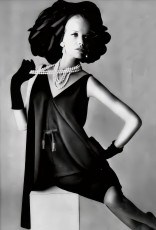 Veruschka by Irving Penn (1965)