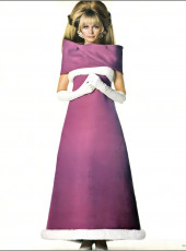 Sue Murray by Irving Penn (1967)