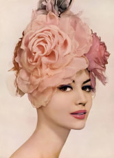 Katherine Pastrie by Irving Penn (1960)