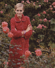 Twiggy by Paul Popper (1967)