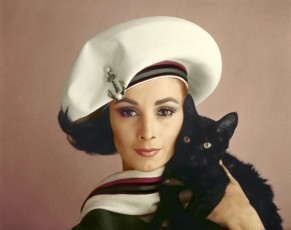 Wilhelmina Cooper by Karen Radkai (1962)