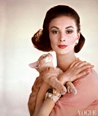 Wilhelmina Cooper by Karen Radkai (1962)