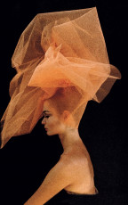 Celia Hammond by Peter Rand (1962)