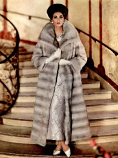 Wilhelmina Cooper by Hal Reiff (1964)