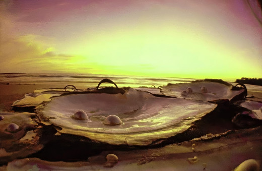 Pearls Shells On Beach In Australia by Arnaud de Rosnay (1967)