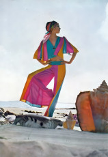 Moyra Swan by Arnaud de Rosnay (1969)