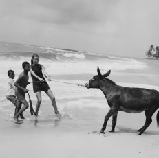 Veruschka by Franco Rubartelli (1968)