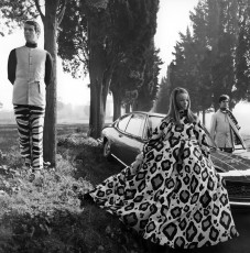 Veruschka by Franco Rubartelli (1969)
