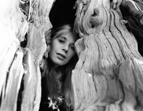 Marianne Faithfull by Tony Sanchez (1971)
