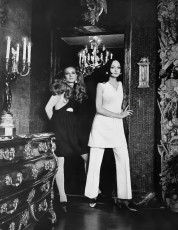 Agneta Darin, Berkley by Francesco Scavullo (1969)