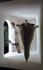 Jean Shrimpton by Melvin Sokolsky (1961)