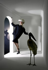 Jean Shrimpton by Melvin Sokolsky (1964)