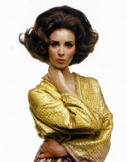 Wilhelmina Cooper by Bert Stern (1964)