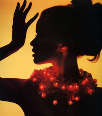 Veruschka by Bert Stern (1963)