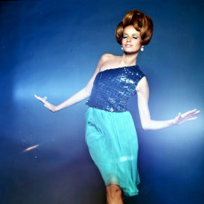 Veruschka by Bert Stern (1965)