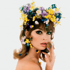 Jean Shrimpton by Bert Stern (1965)