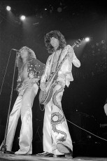 Jimmy Page, Robert Plant (Led Zeppelin) by Allan Tannenbaum (1977)