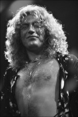 Jimmy Page (Led Zeppelin) by Allan Tannenbaum (1977)