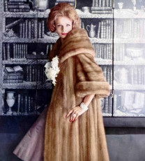 Iris Bianchi by Virginia Thoren (1960)