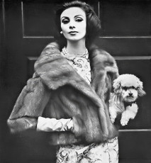 Wilhelmina Cooper by Virginia Thoren (1962)
