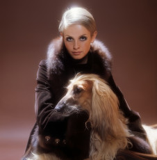 Twiggy by Ronald Traeger (1966)