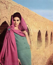 Wilhelmina Cooper by Roland de Vassal (1960)