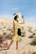 Wilhelmina Cooper by Roland de Vassal (1960)