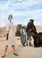Wilhelmina Cooper by Roland de Vassal (1960)