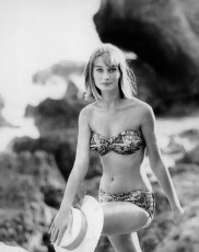 Tania Mallet by Eugene Vernier (1961)