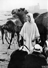 Celia Hammond by Eugene Vernier (1962)