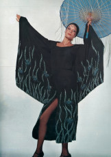 Willy van Rooy by Chris von Wangenheim (1970)