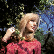 Marianne Faithfull by David Wedgbury (1965)