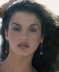 Janice Dickinson by Susan Wood (1978)