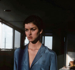 Janice Dickinson by Susan Wood (1978)
