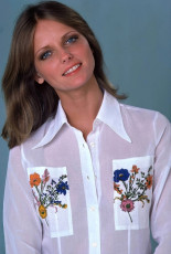 Cheryl Tiegs by Susan Wood (1974)