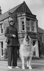 Marianne Faithfull by Ian Wright (1965)
