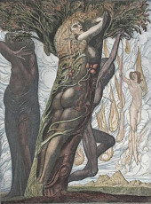 Daphne in Eva Mystica (color etching with aquatint) by Ernst Fuchs (1969)