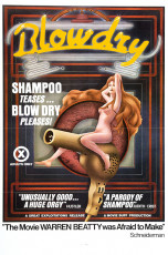 Blowdry (USA) / 1976