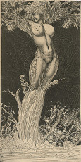 Daphne 1, etching 315x158 / 1968