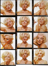 Marilyn’s Last Sitting