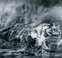 Tiger / 1965