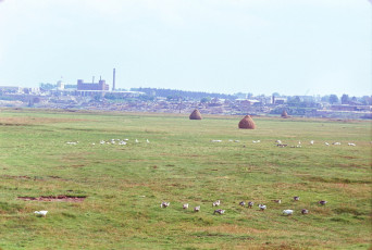 Жак Дюпакье - Минск-Смоленск, Река Березина, Борисов / 1964