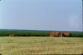 Жак Дюпакье - Минск-Смоленск, Полевые работы в Белоруссии / 1964