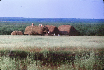 Жак Дюпакье - Минск-Смоленск, Полевые работы в Белоруссии / 1964