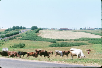 Жак Дюпакье - Минск-Смоленск, Граница между Белоруссией и РСФСР / 1964