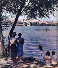 Донецк. Городской ставок и вид на парк им. Щербакова / 1962