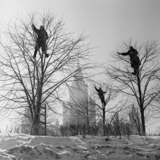 Грачи прилетели. Весна в парке МГУ / Виктор Ахломов (1960)